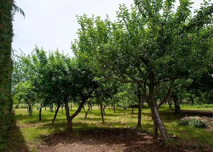 Fidalgo Чантада